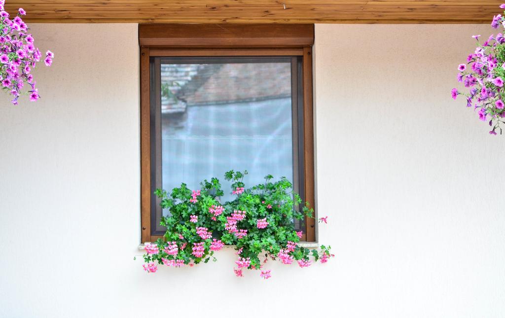 Pava Apartmanhaz Mako Bagian luar foto